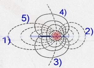 Ergebnisse (i) Folgende Grafik wurde mit dem Oszilloskop aufgezeichnet: Bei der Aufzeichnung des Signals befand sich die E1 am Schwanzende und E2 am Kopfende ( E=E1-E2 ).