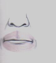 1.2.2. Die mimischen Muskeln des Mundes, Mm. faciei. Sie haben eine oberflächliche Lage und damit eine enge Beziehung zur Gesichtshaut. M. orbicularis oris: Er bildet die muskulöse Grundlage der Lippen.