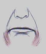M. depressor anguli oris ( M. Triangularis): Als dreieckige Platte entspringt er breit an der Basisi mandibulae vom Kinn bis zum 1. Molaren und endet am Mundwinkel.