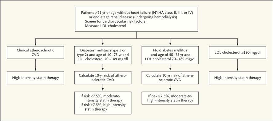 2013 American College of Cardiology American Heart Association Guidelines for Use of Statin Therapy in