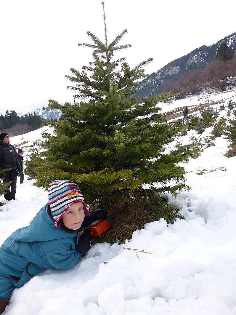 Gabriel schneidet den Baum um