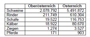 Oberösterreich hat im Bundesländervergleich mit 36,6 Prozent die