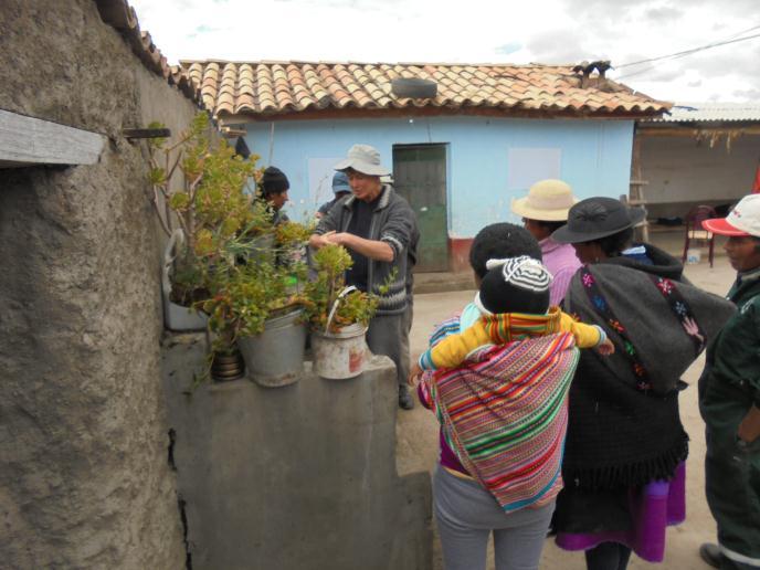 Nämlich dem der Verdrängung der Selbstversorgung (mit den Anbau traditioneller andiner Feldkulturen) durch den Anbau von Pflanzen, die marktorientiert sind und Geld einbringen, wie es auch bei der