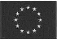 ANHANG IX MUSTERBEISPIEL EINER RECHTSBELEHRUNG FÜR PERSONEN, DIE AUF DER GRUNDLAGE EINES EUROPÄISCHEN HAFTSBEFEHLS FESTGENOMMENEN WERDEN ANHANG II zur Richtlinie 2012/13/EU über das Recht auf