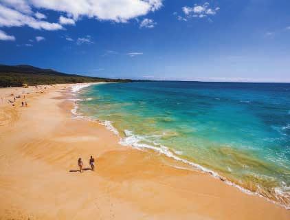 Maui The Valley Isle Lange Sandstrände, üppiger Regenwald, steinige Vulkanlandschaften und dazu Wale und Delfine im glitzernden Ozean.
