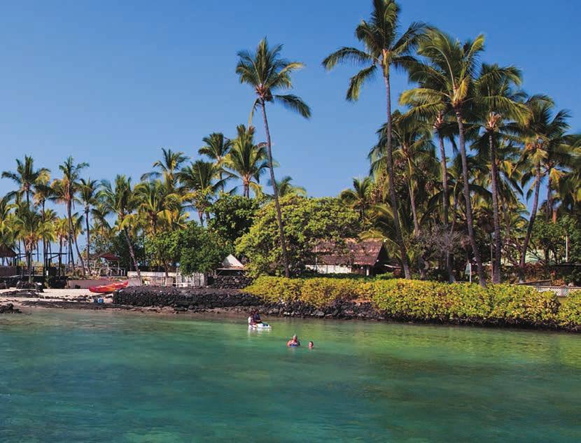 Aloha-Kultur Die bunte Kultur von Hawaii spiegelt die Vielfältigkeit der Bewohner wider, die friedlich miteinander leben.