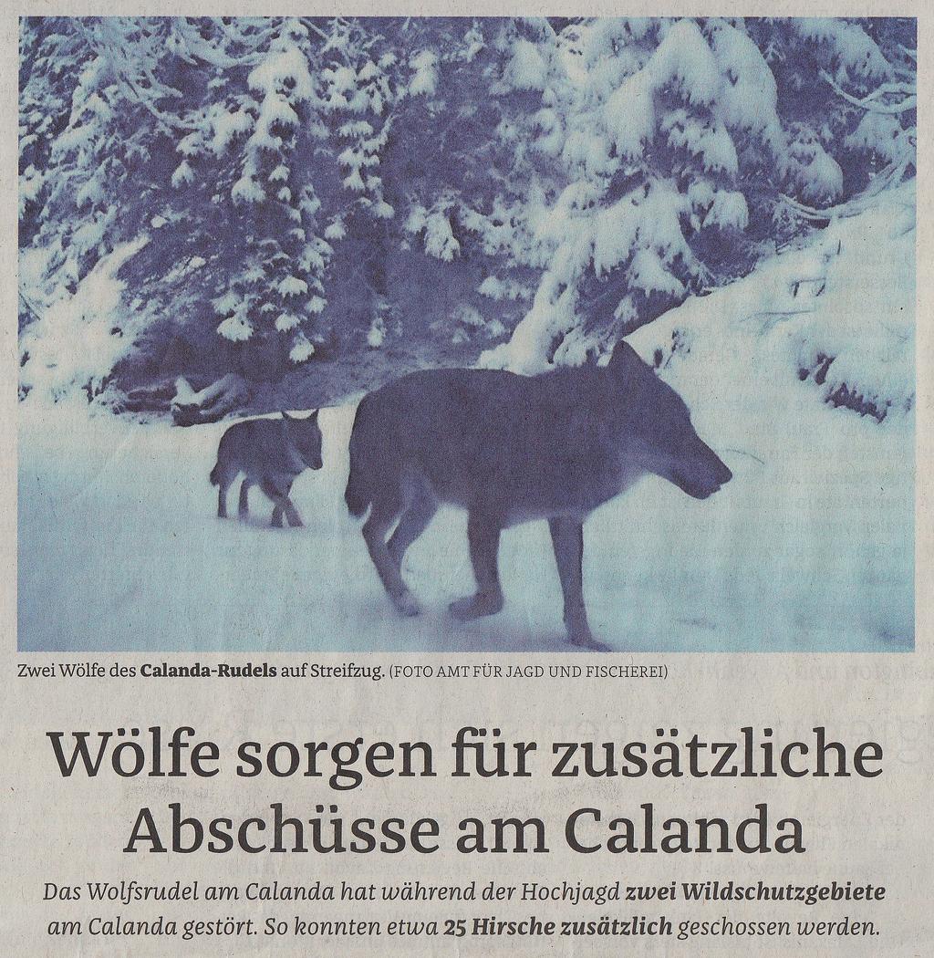 Bündner Tagblatt «Sämtliche Hirsche haben sich aus den zwei Wildschutzgebieten
