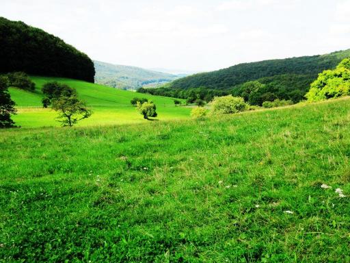 Erhalt des Dauergrünlandes Grundwasserrichtlinie