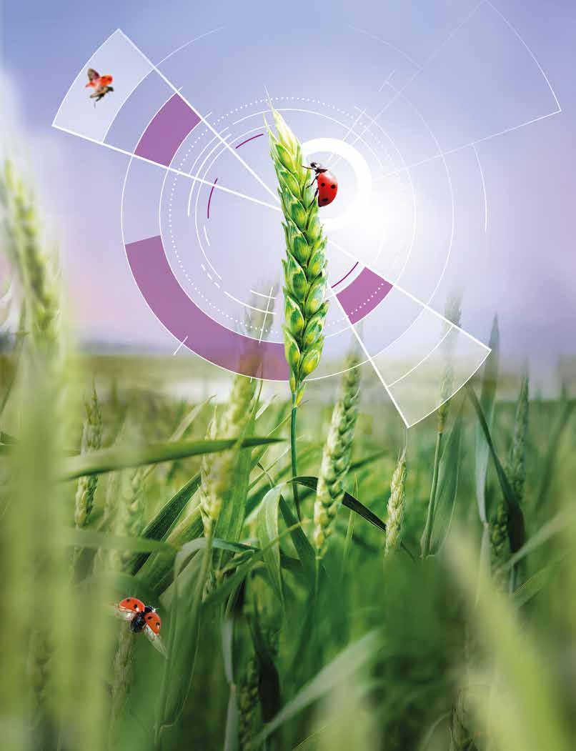 Wartezeit Nützlingsschonend B4 Stark und langanhaltend gegen Blattläuse Gute Zusatzwirkung gegen Getreidehähnchen Sanft zu Nützlingen Bienenungefährlich (B4) Getreide In der neuen Formulierung hat