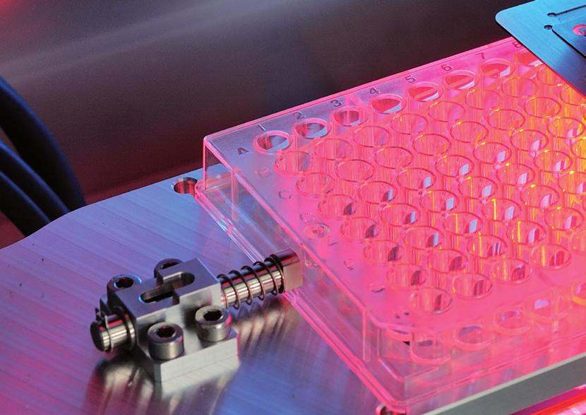 NEUER PROZESS ZUR MARKERFREIEN ZELLSELEKTION Im Projekt OptisCell haben Biologen, Informatiker und Laserexperten aus drei Fraunhofer-Instituten gemeinsam einen Prozess entwickelt, bei dem Zellen