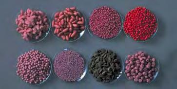 Untersuchung von Saatgut auf gentechnisch veränderte Bestandteile Gentechnische Veränderungen in Saatgut Kennzeichnung - bisher kein Schwellenwert Gentechnisch veränderte Pflanzen (Soja, Mais, Raps)