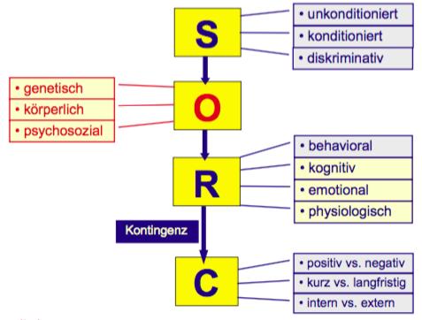 Das SOR K C-Schema Kanfer