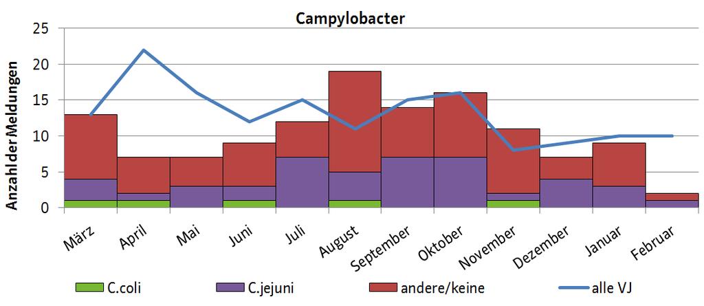 Abbildung 1 Gemeldete Campylobacter-Infektionen nach Erregertypen in bis 29.02.