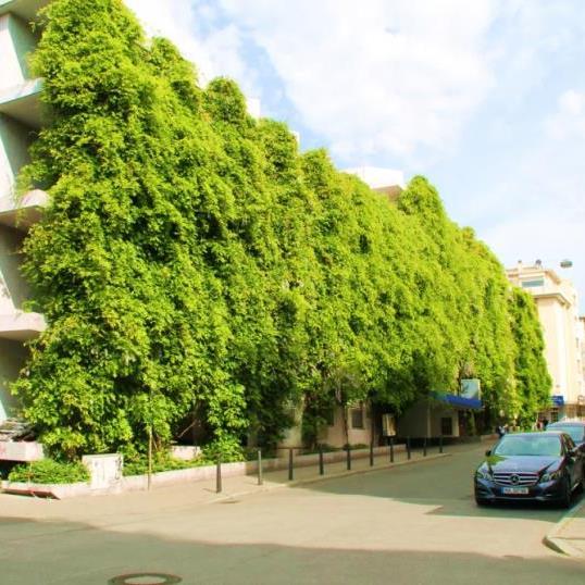 MEHR GRÜN IN DER INNENSTADT Förderung von Dach- und Fassadenbegrünung Grün ist unentbehrlich für Lebensqualität und gesundes Klima besonders in der Innenstadt.