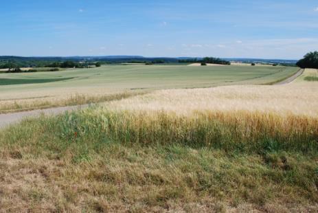 sowohl für die Ortsteile Gochsheim und Menzingen, als auch für die Nachbargemeinden Eppingen, Sulzfeld und Zaisenhausen.