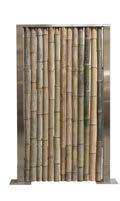 Bambooline Mit Bambooline setzen Sie attraktive, exotische Akzente in Ihrem Garten.