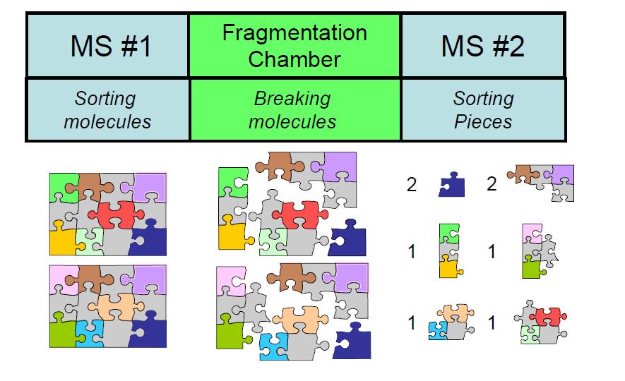 Fragmentierung von Molekülen Verifizierung der Identität 1. Passen die einzelnen Puzzleteile?