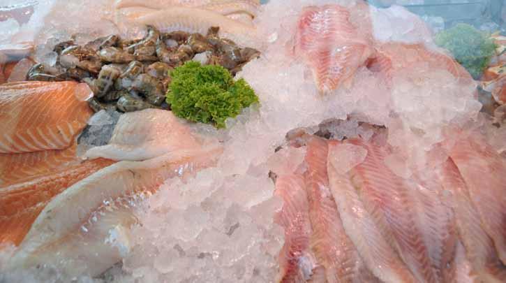 Bestes mobiles Fisch-Fachgeschäft Der Direkt einkauf ermöglicht es Otto, auf allen besuchten Wochenmärkten frischen Fisch in hoher Qualität zu attraktiven Preisen anzubieten.