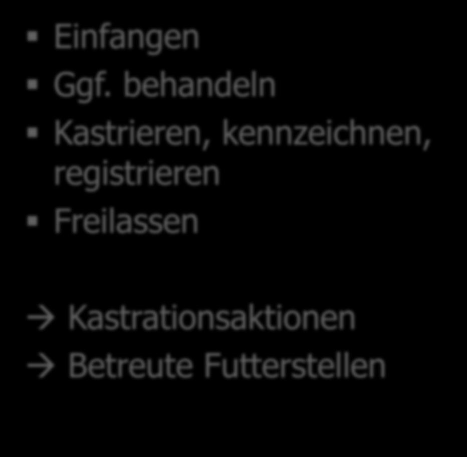 registrieren Freilassen Kastrationsaktionen