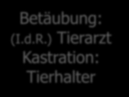 8 Tage > 8 Tage Schmerzmittel: Tierhalter Kastration: Tierhalter Betäubung: