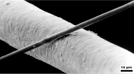 spannen kann viele Fasern feiner als menschliches Haar sind: 1. Mikrofaser aus Polyester, Polyamid 2. Seide 3. Baumwolle 4.