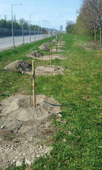 2017 begonnen, die Holz- Rundlinge gegen Pflastersteine auszutauschen.