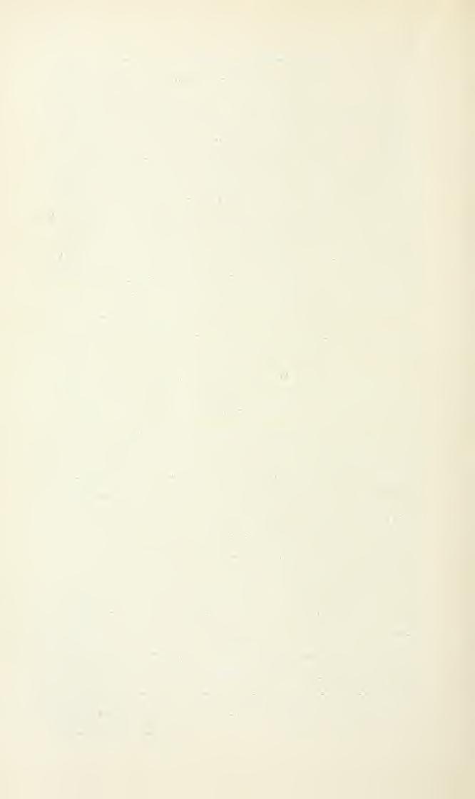 204 ]~)r;iiin, FüIiUm- lioll braungclb, Palpen blaß bräunlichgelb. Kopfpubescenz schwarz, Fühler- und Palpenpubescenz gelblich. Thorax rostbraun, Abdomen dunkel rostbraun.