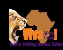 Danke für Ihre Anfrage und Interesse an Viva Africa Tours. Wie gewünscht, erhalten Sie eine Übersicht für Ihre Kilimanjaro Besteigung.