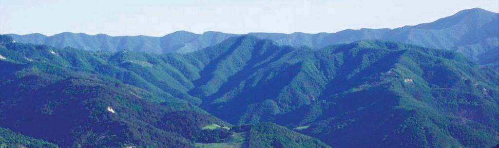 den Park der Casentinesischen Wälder bekommt, und dem kurzeren (6 Km) und leichteren Weg links, vorwiegend bergab, in eine Agrarlandschaft, mit restaurierten