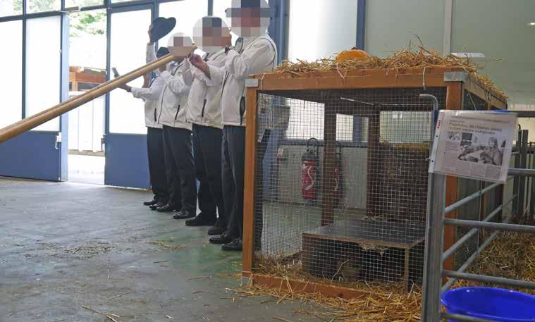 Die Kaninchen konnten sich dem übermässigen Lärm nicht entziehen. V. Fazit In diesem Jahr wurden viele Tierhaltungen verbessert, was der Schweizer Tierschutz STS begrüsst.