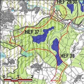 Kennung: HEF 39 westlich Dinkelrode Schenklengsfeld Wippershain Flächengröße Suchraum: 56 ha Vorranggebiet: 65 ha 5.75 m/s bis unter 6.