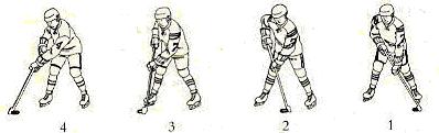 1 1. ALLGEMEIN Der Eishockeysport entstand zwischen 1840 und 1875 in Kanada, wo britische Soldaten das schottische Shinney auf Schnee und Eis spielten.