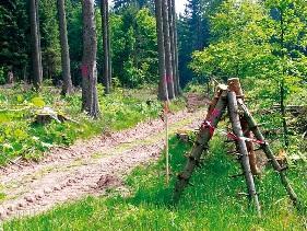 Niedersächsischen Landesforsten 10.