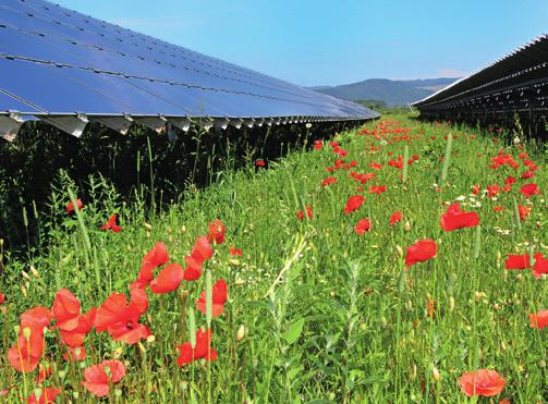 Um auf eine klimafreundliche, regenerative Energieversorgung umstellen zu können, sind aber auch PV-Freiﬂächenanlagen notwendig.