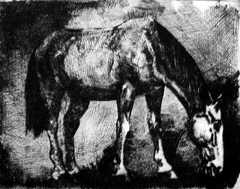 72-029-ZE Titel: Pferd grasend vermutlich Mischtechnik Tusche