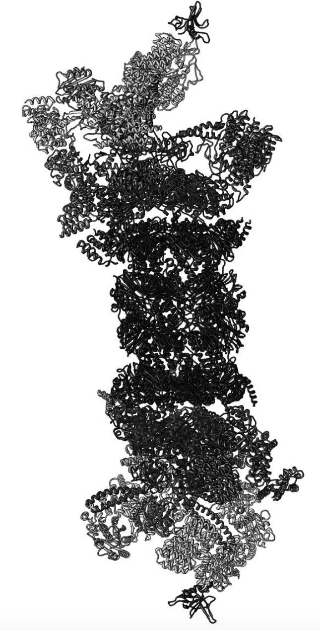 Proteine Proteine sind prinzipiell lange lineare Ketten von Aminosäuren, die über Peptidbindungen verknüpft sind.