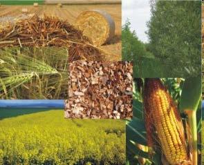 Implementierung von Landnutzungsänderungen durch Bioenergiebereitstellung in LCA LCA berechnet Umweltwirkungen