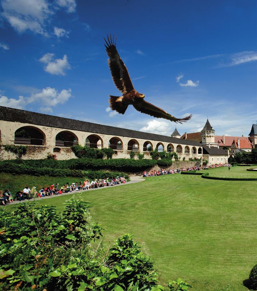 FAlKnErEI UnD FAlKnErEI ZU PFErD TRADITION ERLEBEN Schloss Rosenburg ist über die Grenzen bekannt für seinen Renaissancefalknerhof.