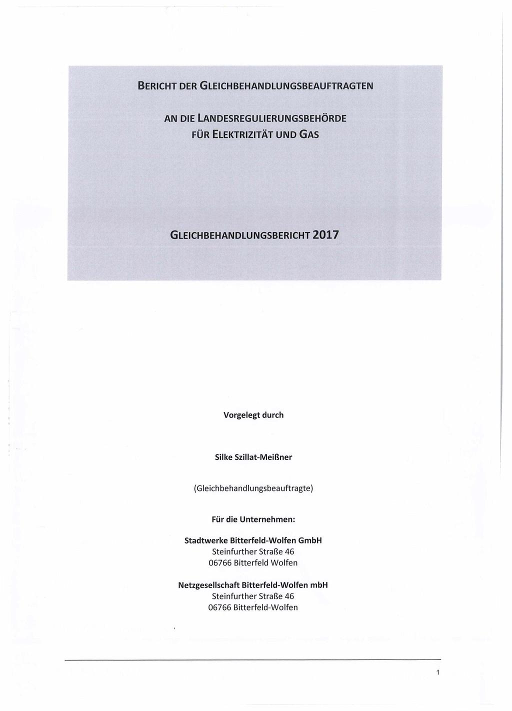 Bericht der Gleichbehandlungsbeauftragten an die Landesregulierungsbehörde für Elektrizität und Gas Gleichbehandlungsbericht 2017 Vorgelegt durch Silke Szillat-Meißner