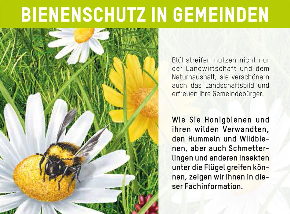 Bienenschutz in Gemeinden Öffnen Sie den Folder, indem Sie auf das Bild klicken. Um Bienen zu schützen, braucht es intakte Naturflächen.