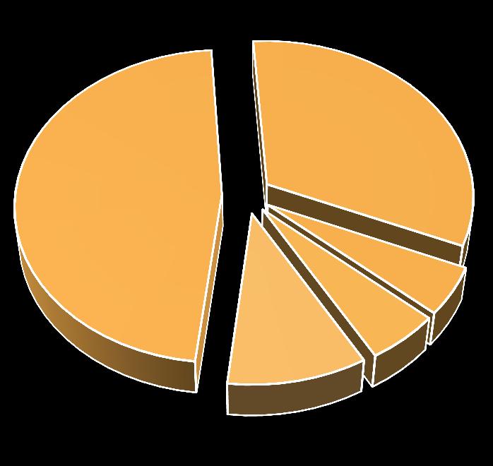 Basisdaten Stadienverteilung Primärfälle Mammakarzinom Primärfälle gesamt Operative / nicht operative Primärfälle 100% 90% 2,84% 3,92% 9,68% 14,13% T2 (32,39%) 80% 33,43% 70% T1
