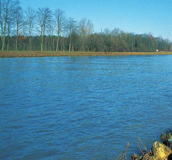 Einbürgerung fremder Flusskrebsarten Schon vor über 100 Jahren wurde damit begonnen, aus anderen Teilen der Welt stammende Flusskrebsarten in mitteleuropäischen Gewässern auszusetzen.