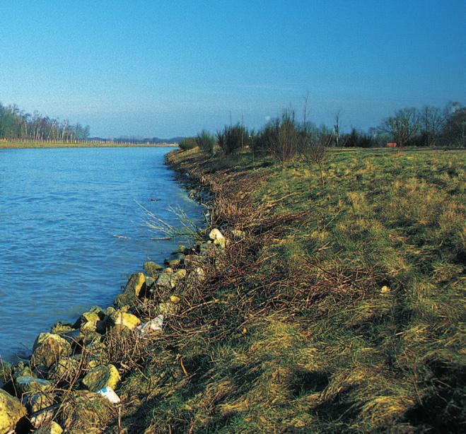 Lebensweise und Bestimmung der Arten Die bei uns lebenden Flusskrebsarten können anhand ihrer Körperform und -größe, bestimmter Strukturen (Dornen, Leisten) auf dem Panzer sowie spezifischer