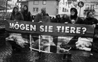 Verschiedenes MEAT IS MURDER-Kampagne Im August 2009 fand die jährliche Säubrennerkirmes in Wittlich statt, wo an einem Wochenende ca. 200 Schweine verspeist werden.