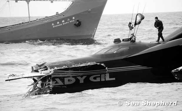 Verschiedenes Hirten der Meere Kollisionen auf hoher See lassen Sympathiewerte der Sea Shepherd steigen Japanisches Walfangschiff zerstört das Boot von Tierschützern lautete eine der ersten