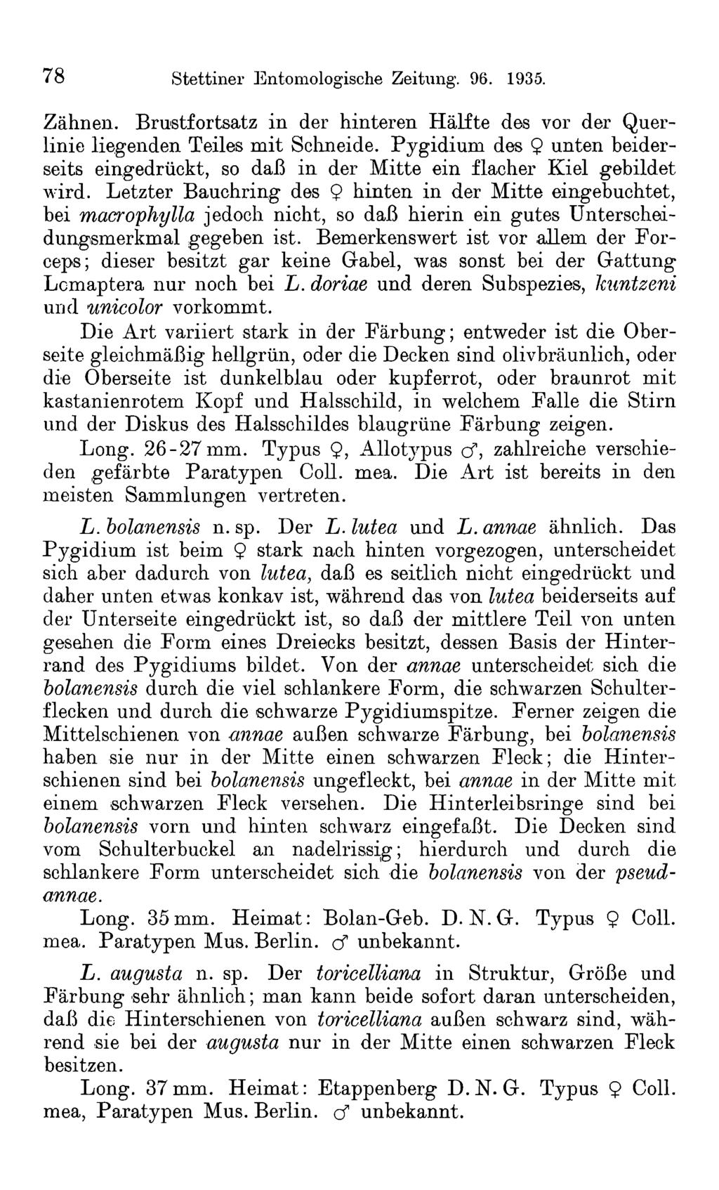 78 Stettiner Entomologische Zeitung. 96. 1935. Zähnen. Brustfortsatz in der hinteren Hälfte des vor der Querlinie liegenden Teiles mit Schneide.