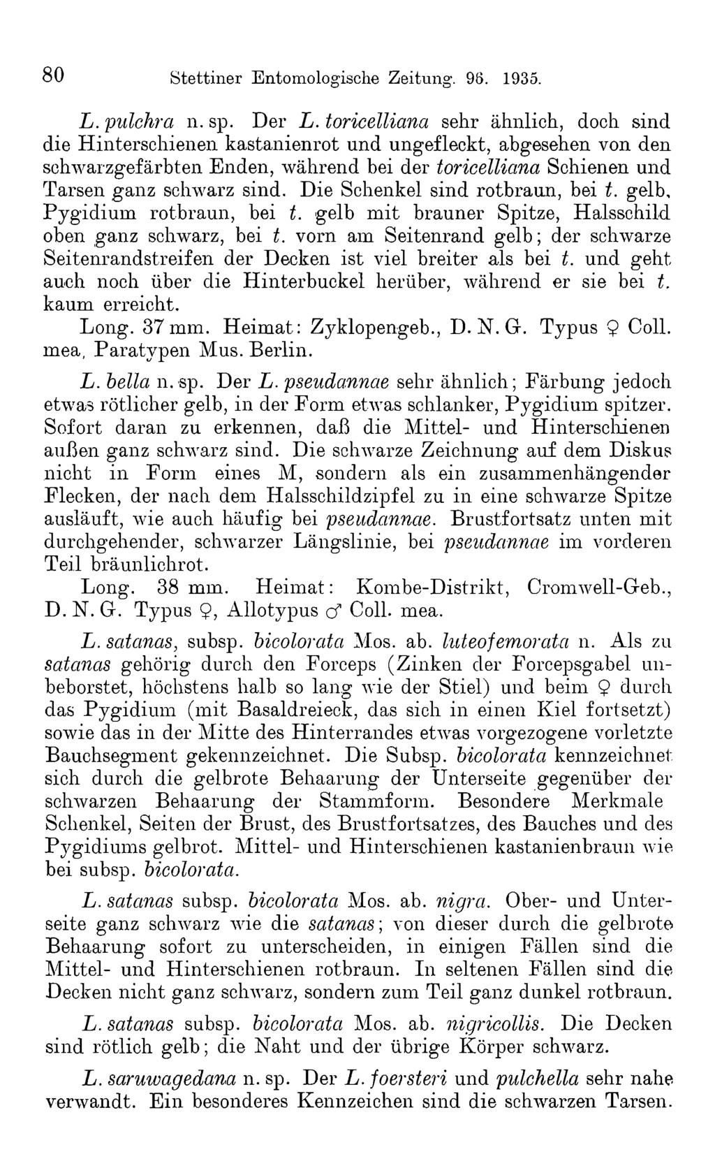80 Stettiner Entomologische Zeitung. 98. 1935. L. pulchra n. sp. Der L.