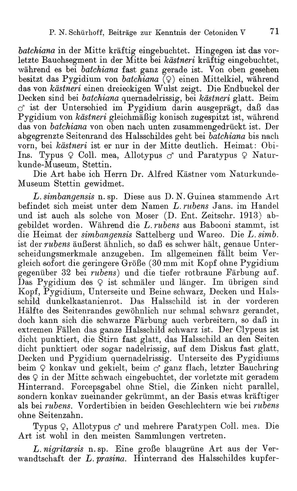 P. N. Schürlioff, Beiträge zur Kenntnis der Cetoniden V 71 batchiana in der Mitte kräftig eingebuchtet.