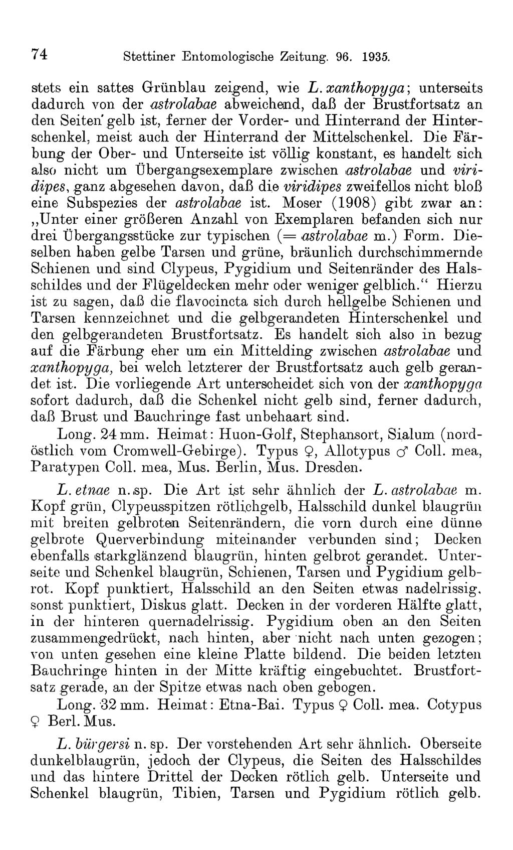 7 4 Stettiner Entomologische Zeitung. 96. 1935. stets ein sattes Grünblau zeigend, wie L.