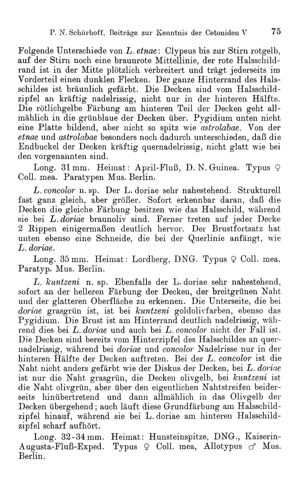 P. N. Schürhoff, Beiträge zur Kenntnis der Cetoniden V 7 5 Folgende Unterschiede von L.